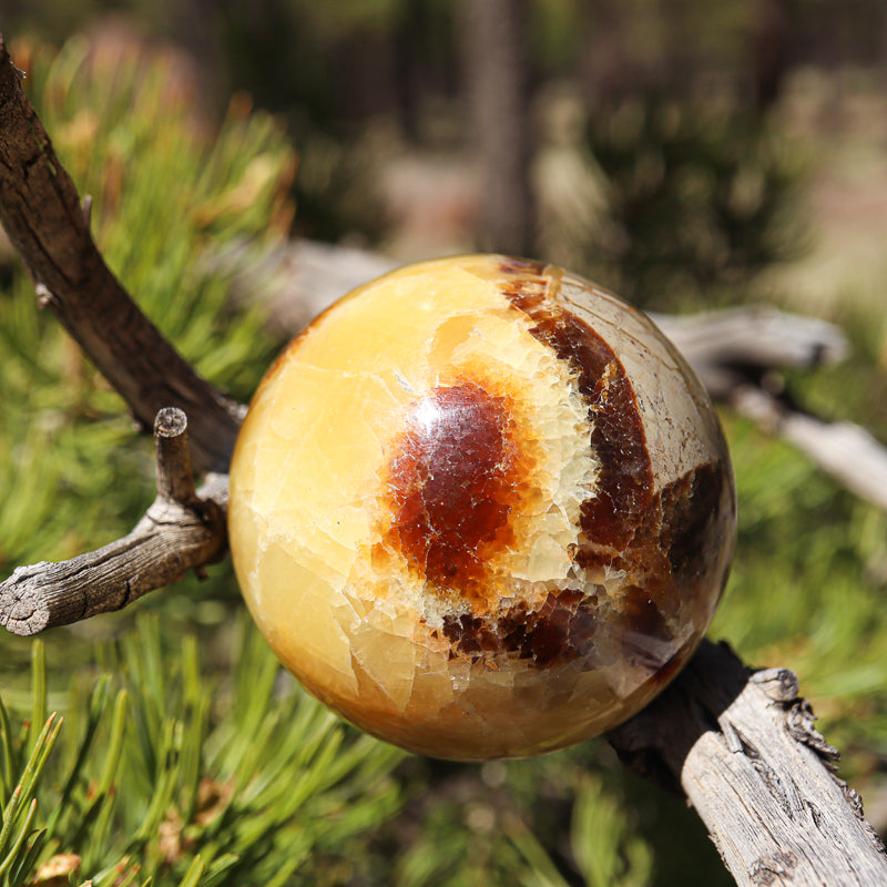 Septarian Sphere