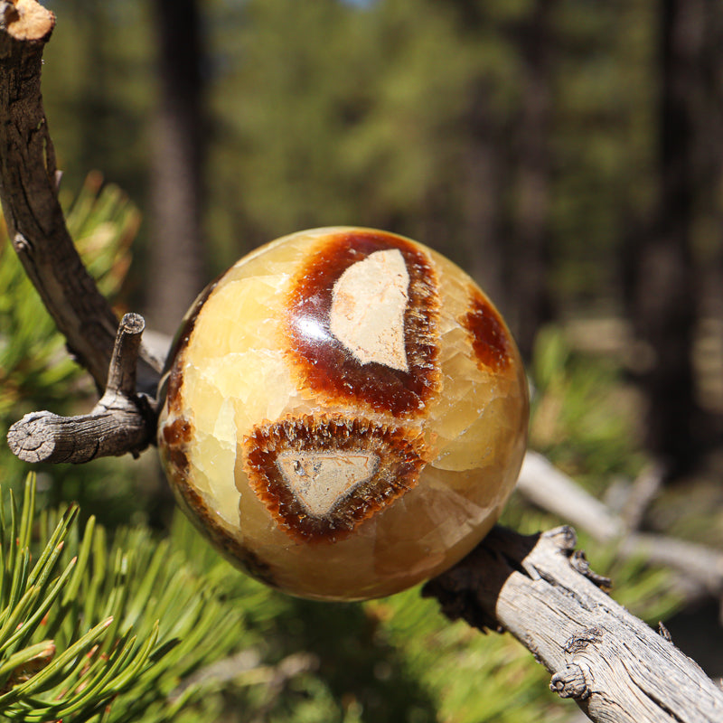 Septarian Sphere