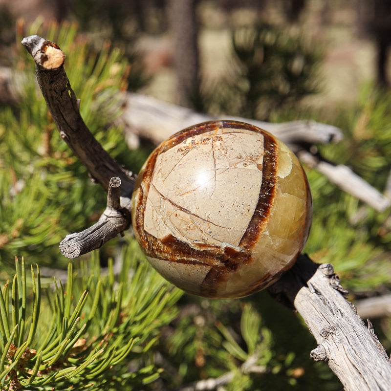 Septarian Sphere