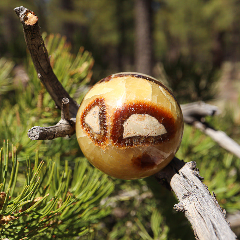 Septarian Sphere