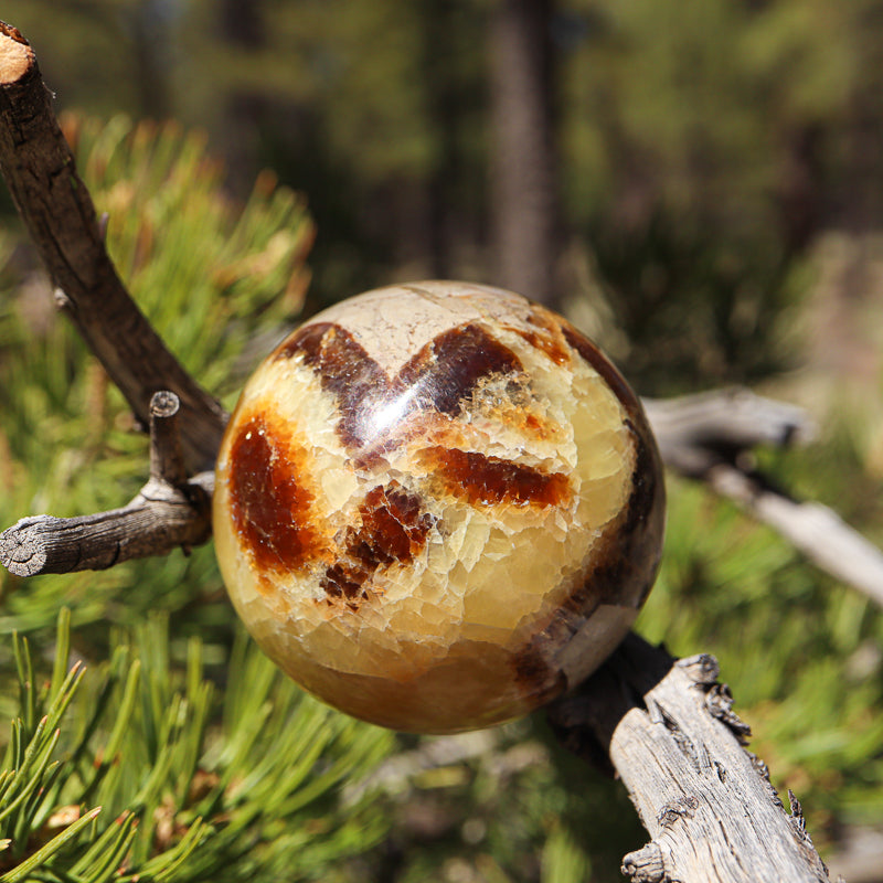 Septarian Sphere