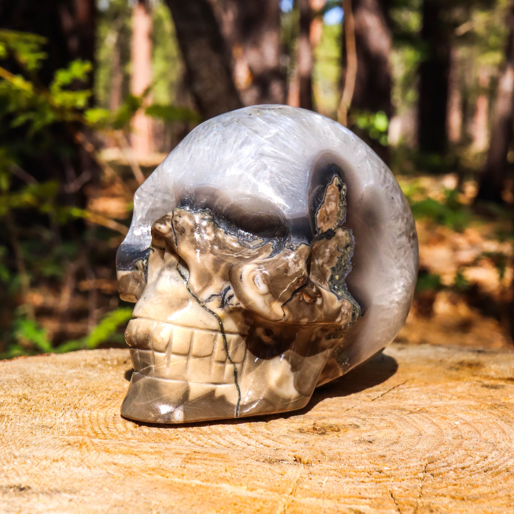 Clear Quartz Skull with Agate