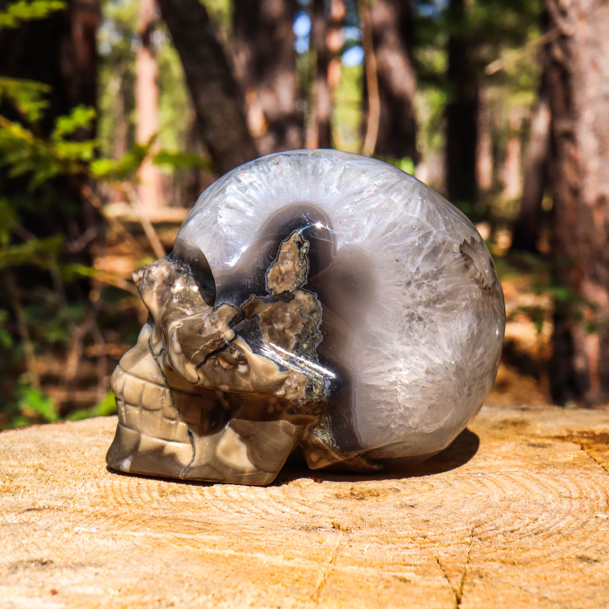 Clear Quartz Skull with Agate