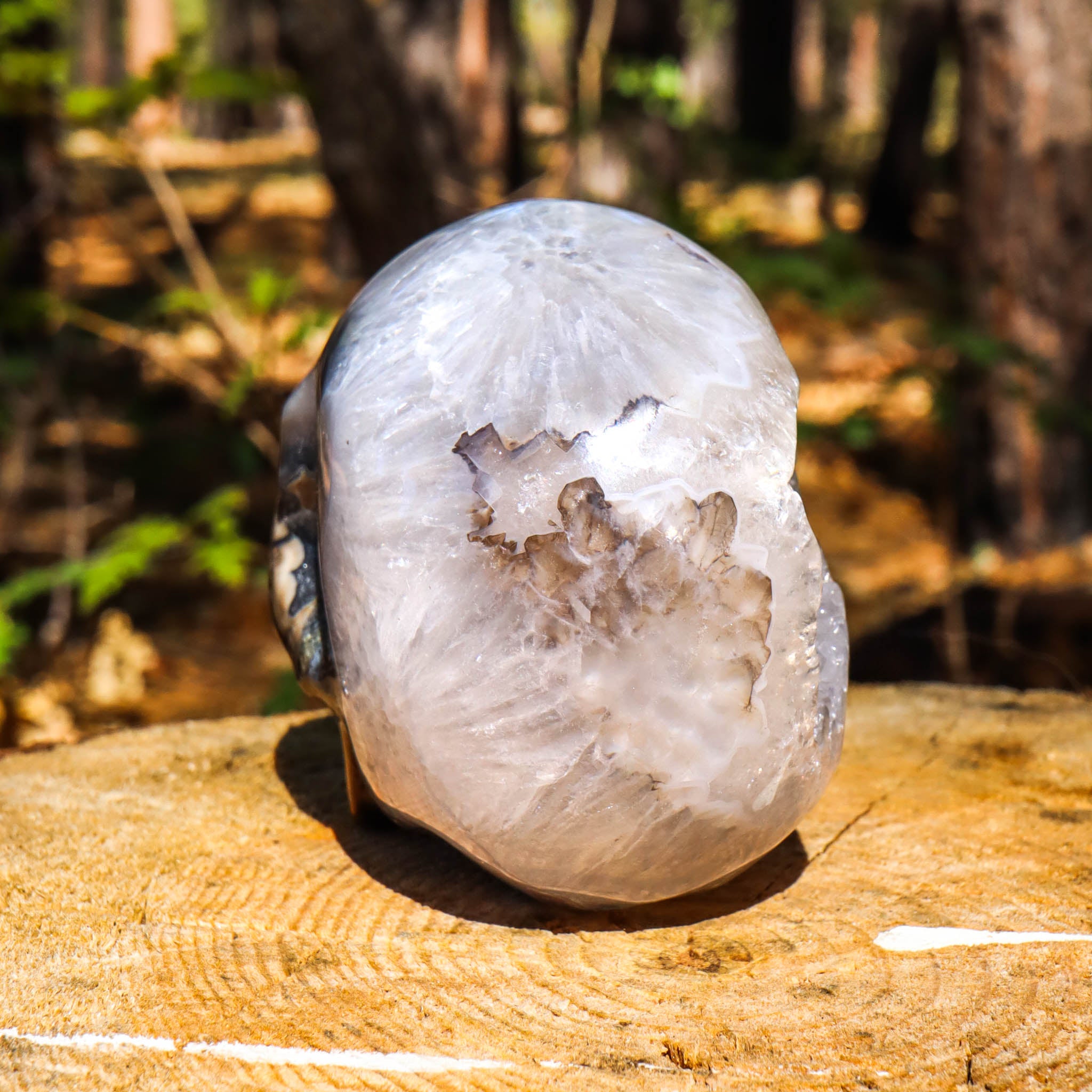 Clear Quartz Skull with Agate