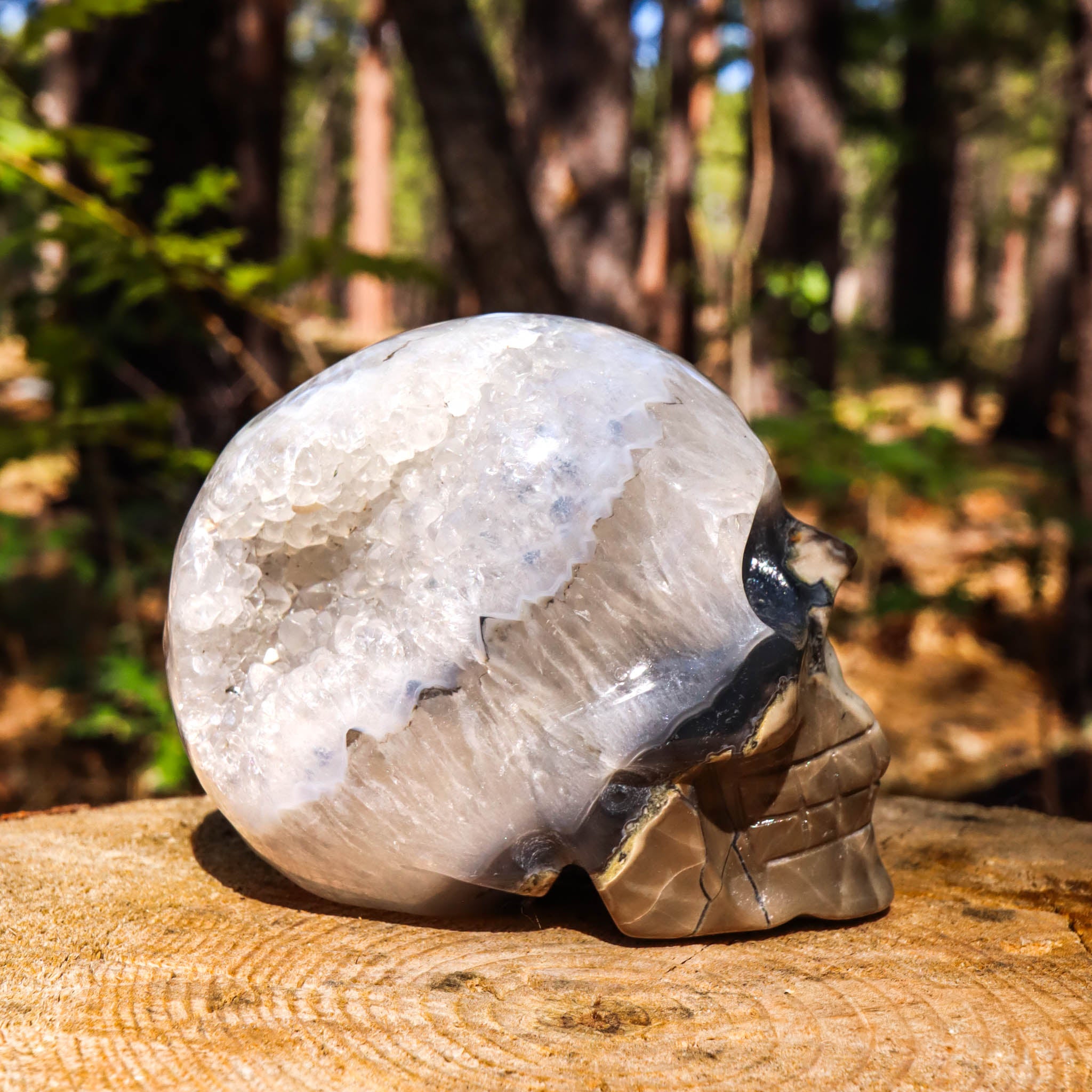 Clear Quartz Skull with Agate