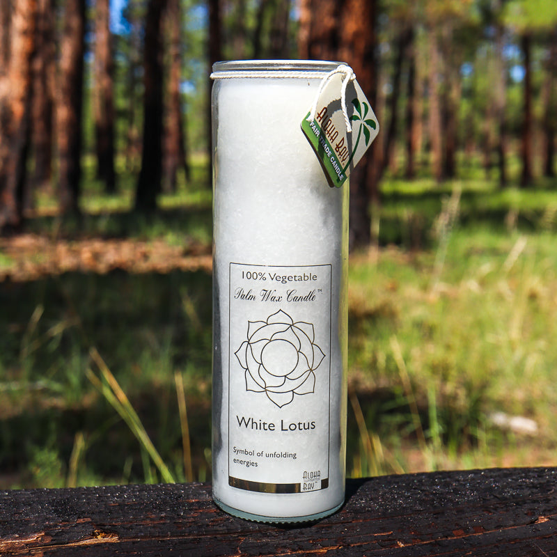 Aloha Bay 16 oz. Chakra Jar Candles