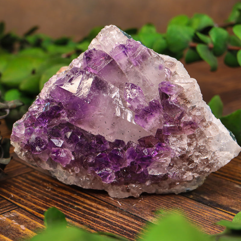 Amethyst Cluster