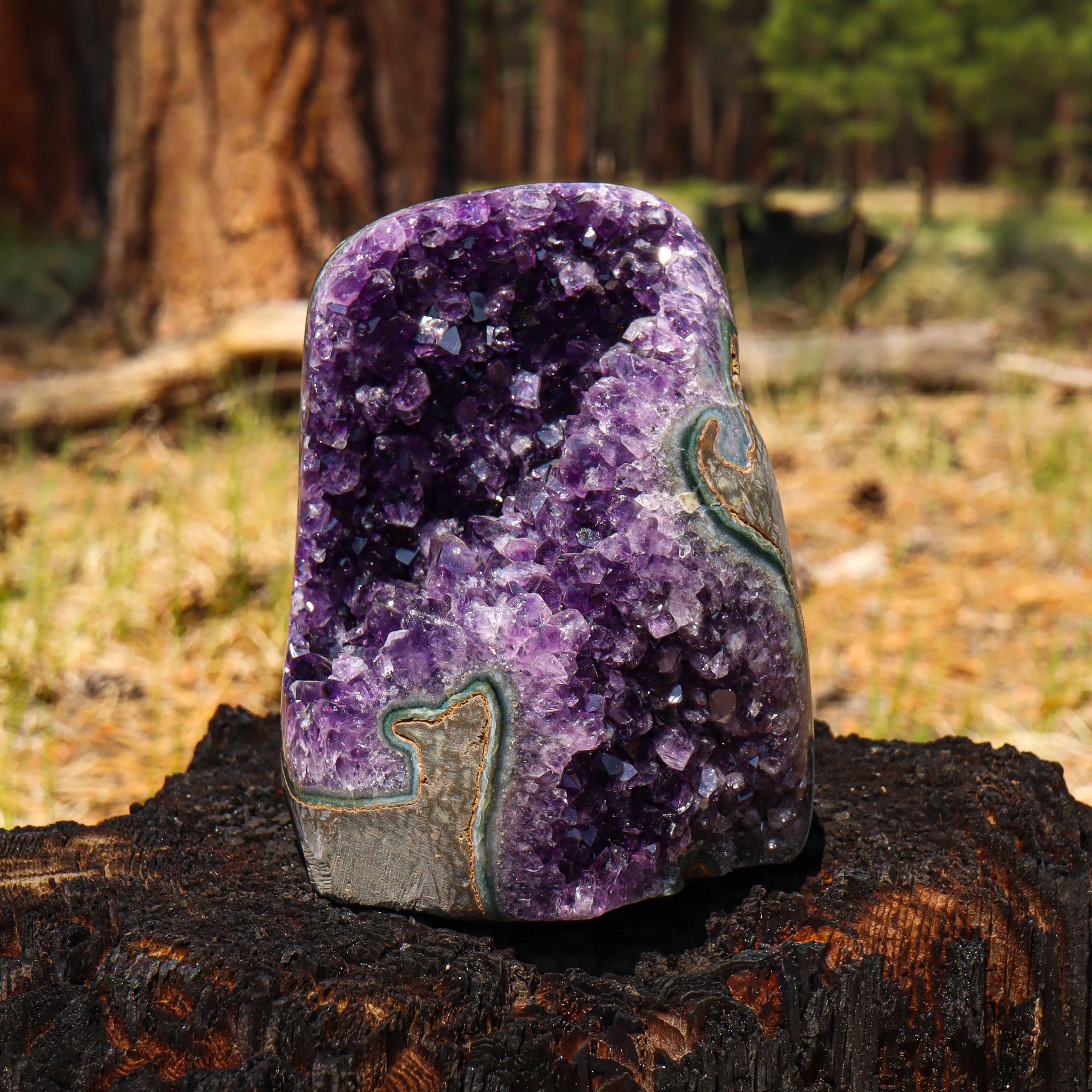 Amethyst Geode