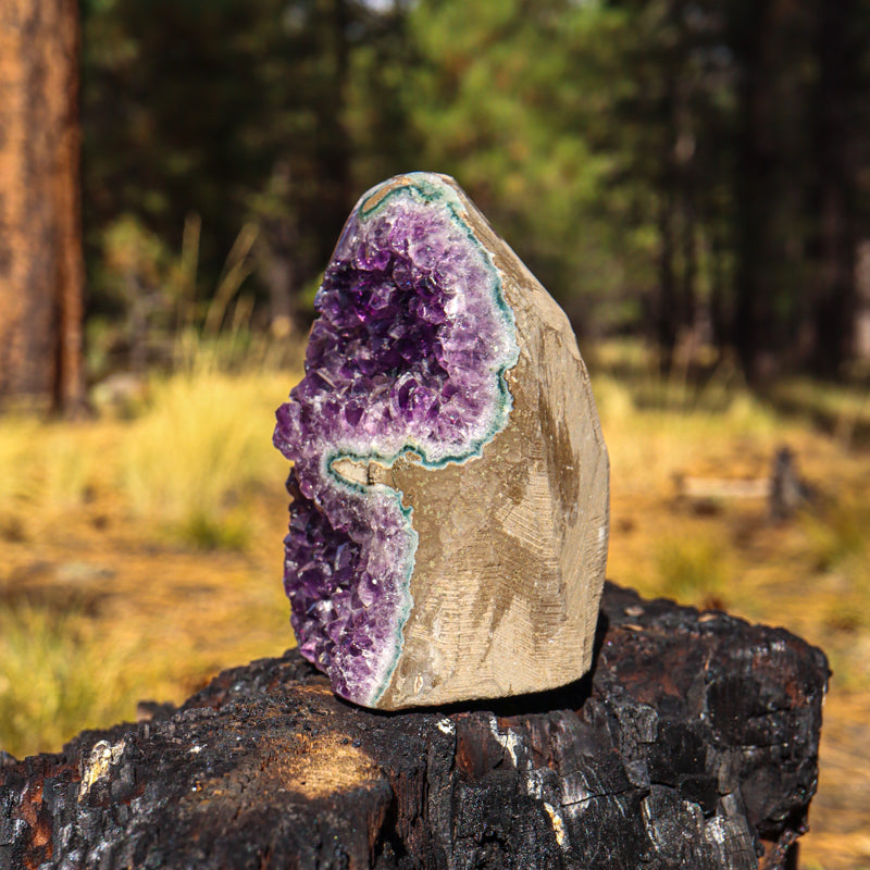 Amethyst Geode