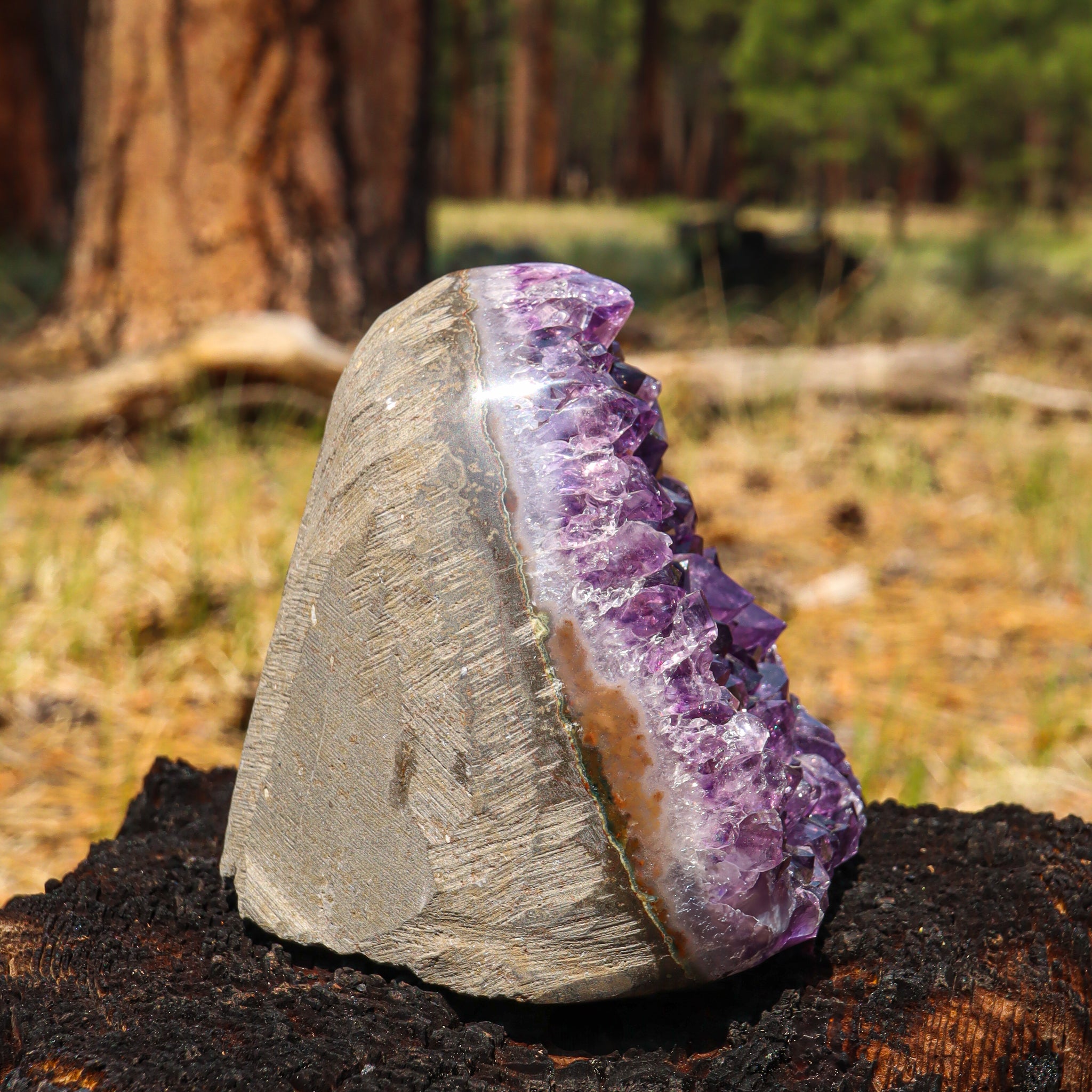Amethyst Geode
