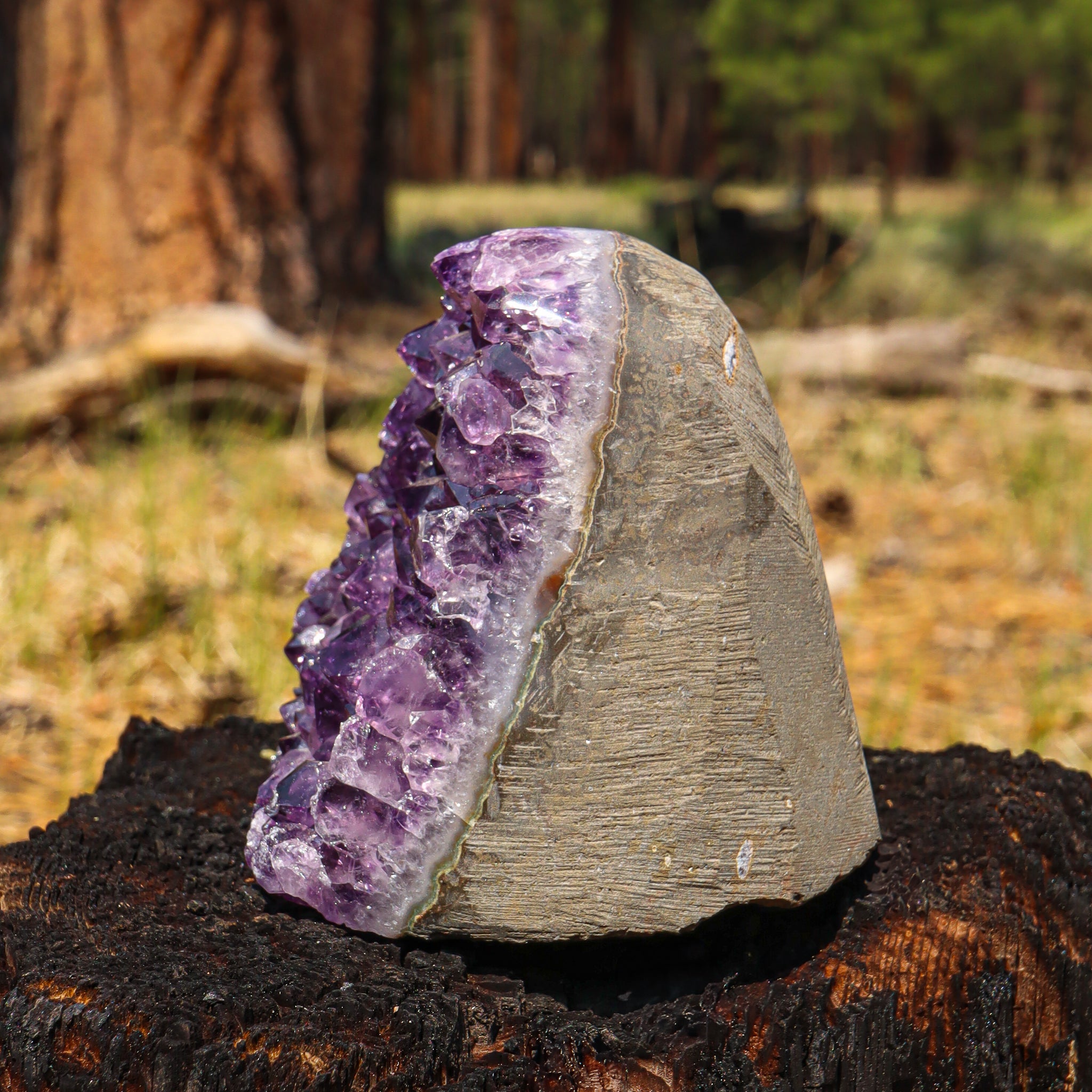 Amethyst Geode