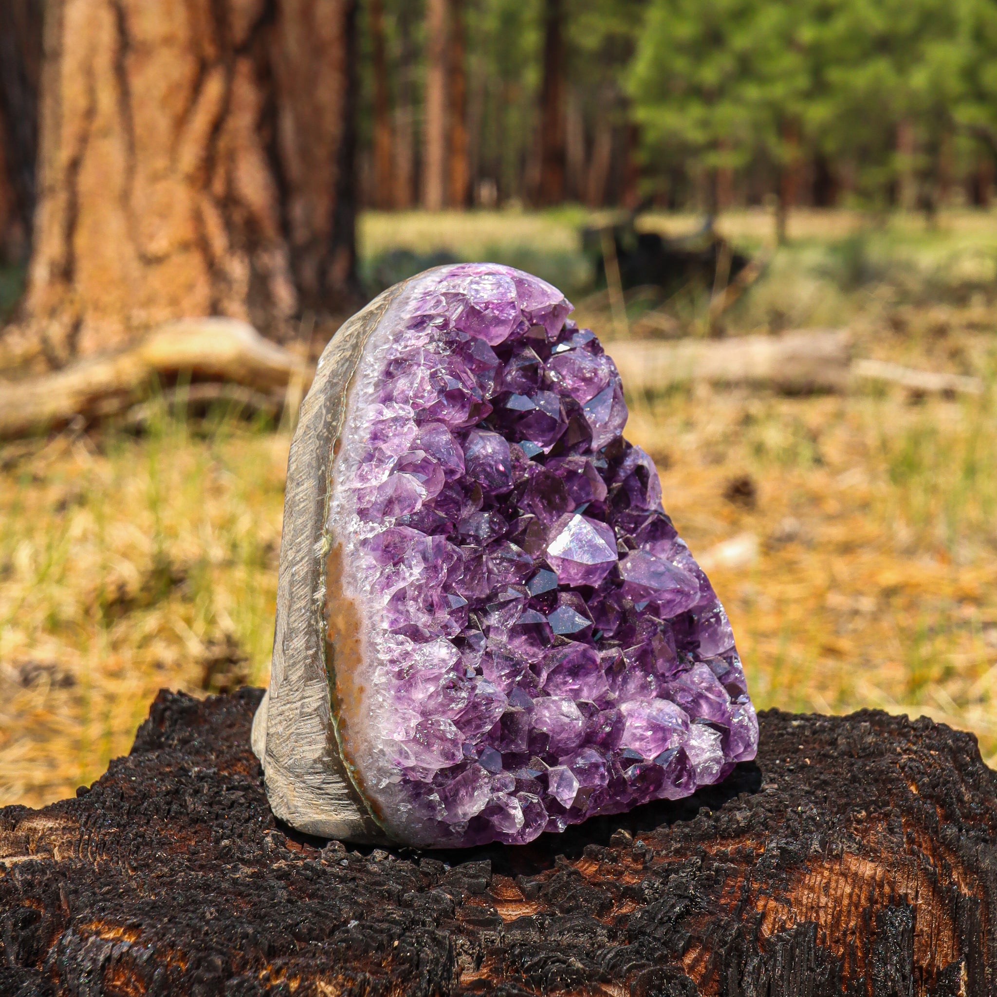 Amethyst Geode