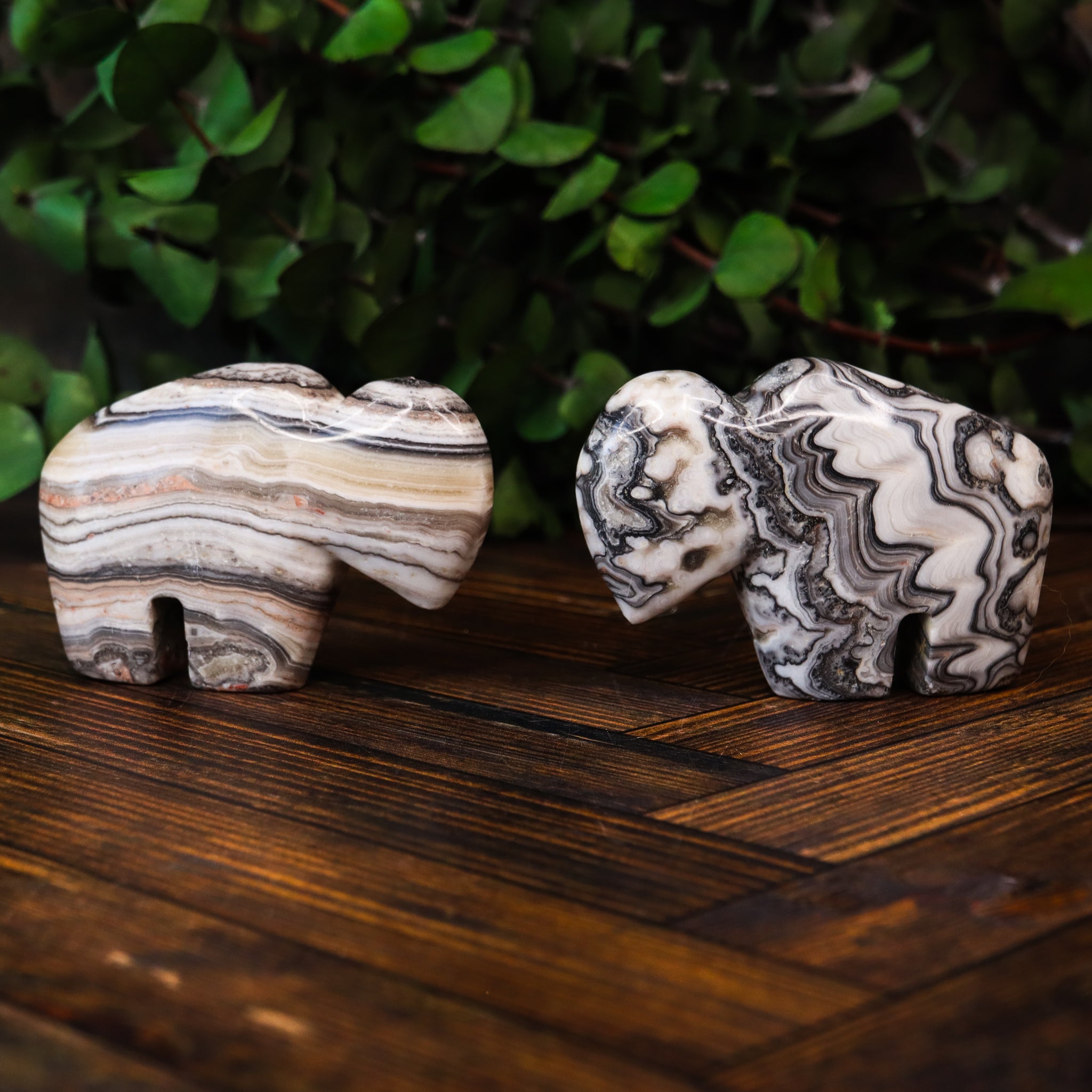 Zebra Calcite Carved Buffalo