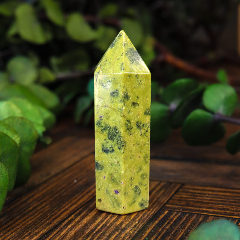 Serpentine with Stichtite Point