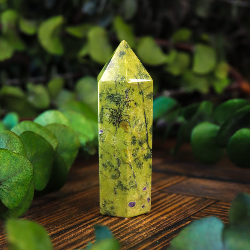 Serpentine with Stichtite Point