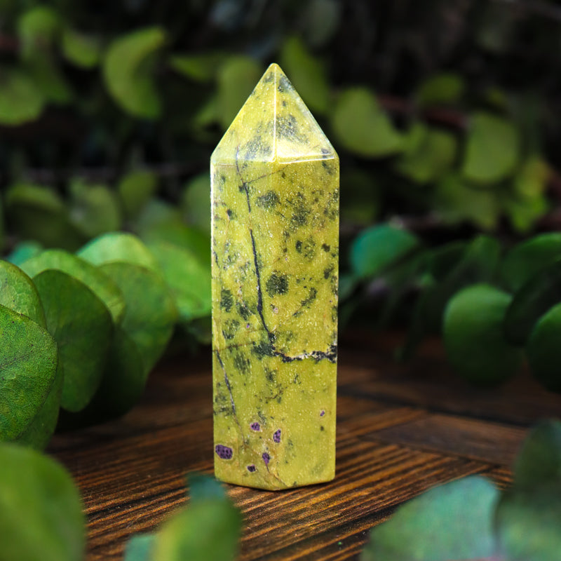 Serpentine with Stichtite Point