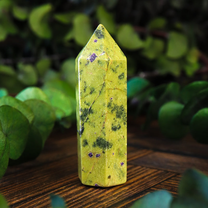 Serpentine with Stichtite Point