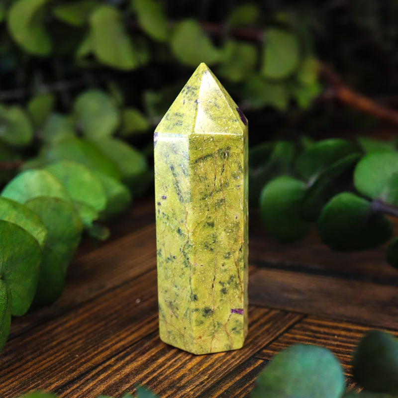 Serpentine with Stichtite Point
