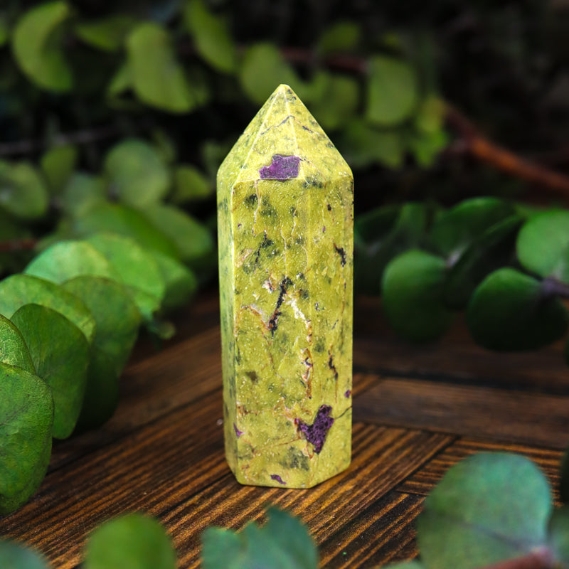 Serpentine with Stichtite Point