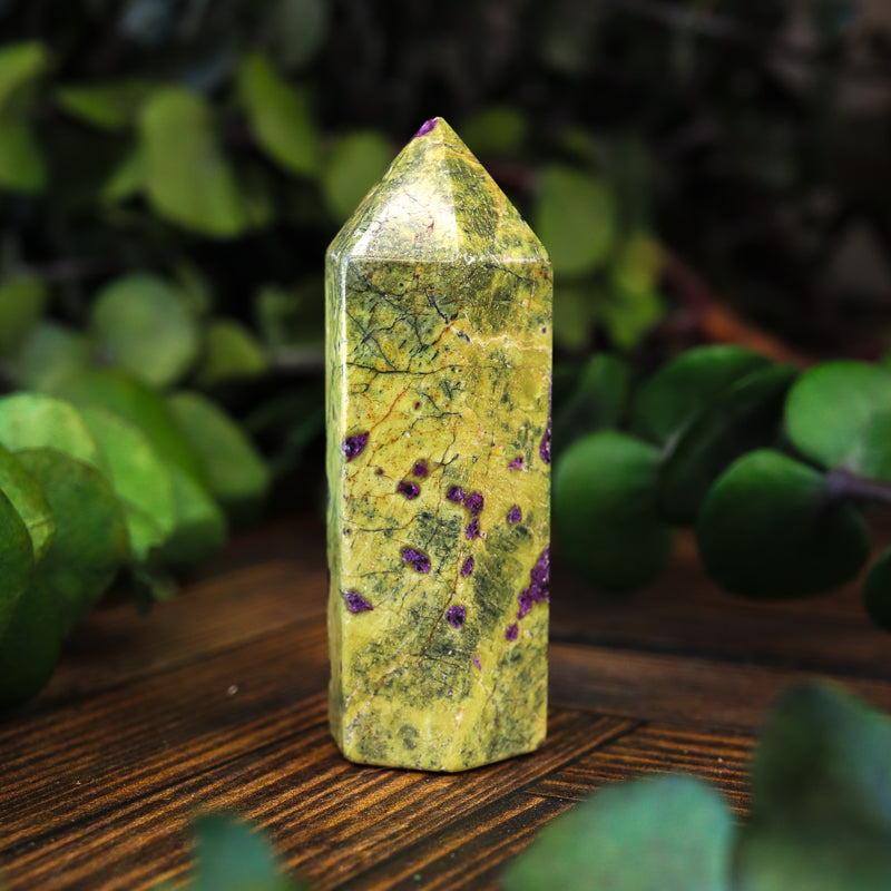 Serpentine with Stichtite Point
