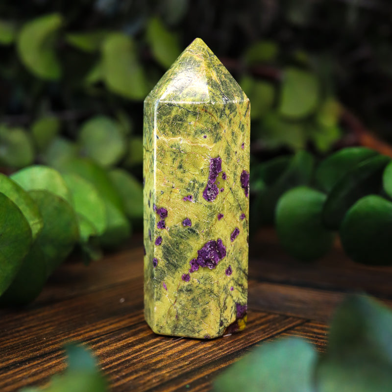 Serpentine with Stichtite Point