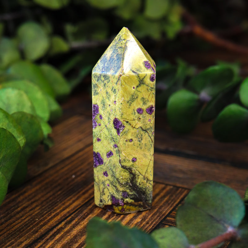 Serpentine with Stichtite Point