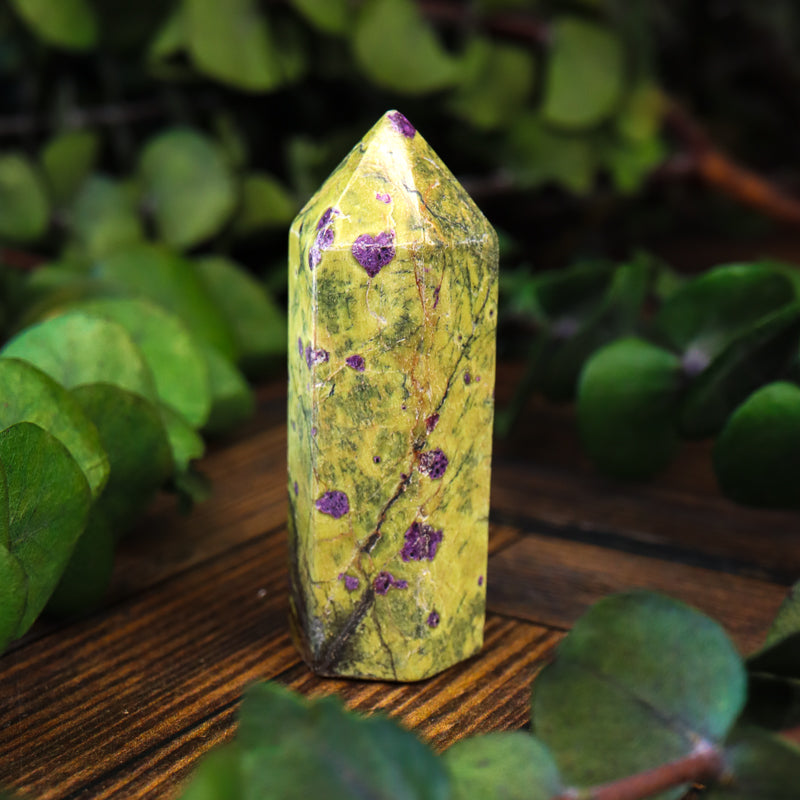 Serpentine with Stichtite Point