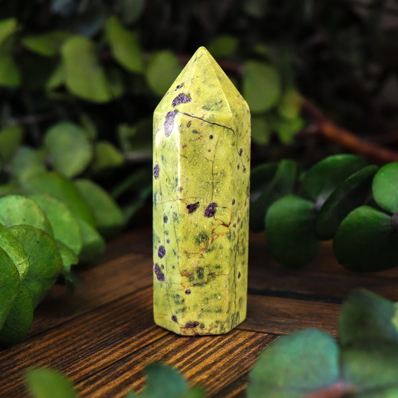 Serpentine with Stichtite Point