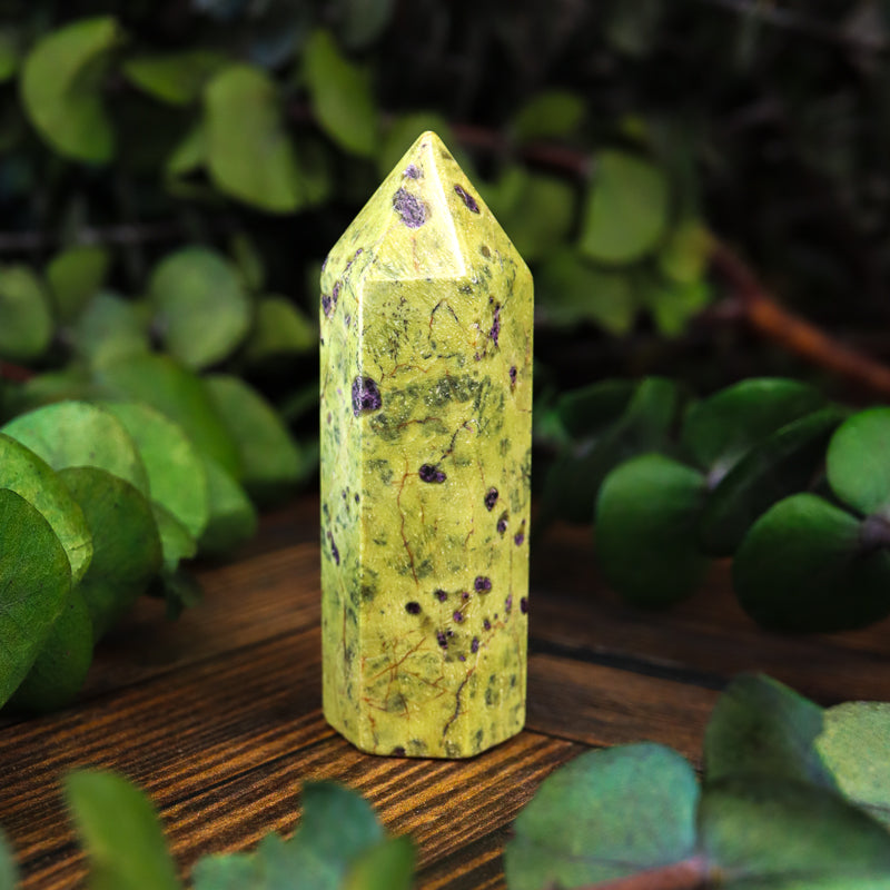 Serpentine with Stichtite Point