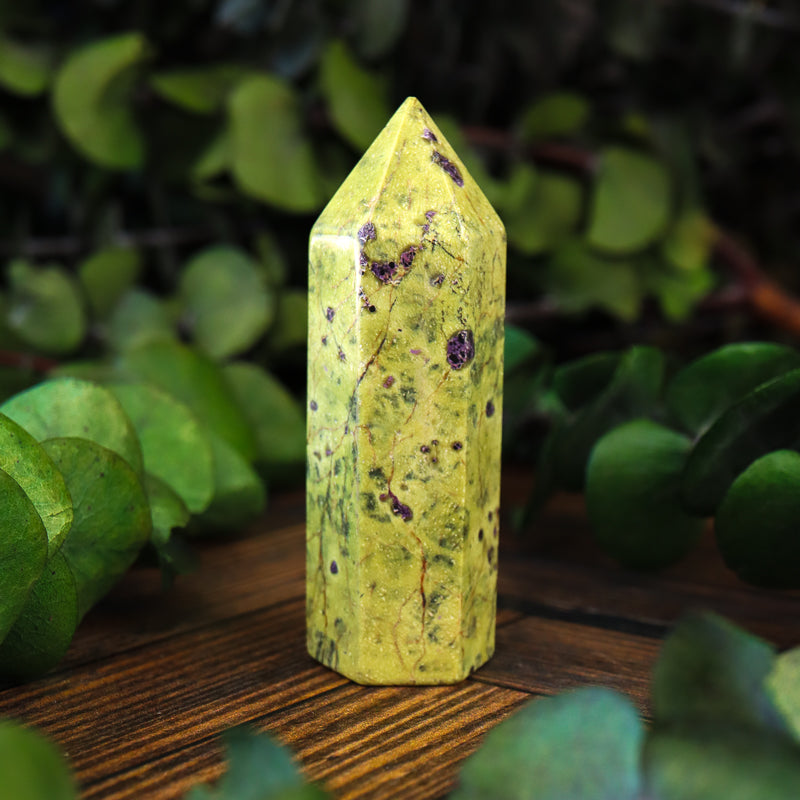 Serpentine with Stichtite Point