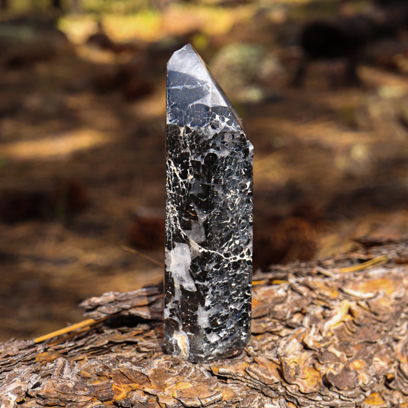 Tourmalinated Quartz Point