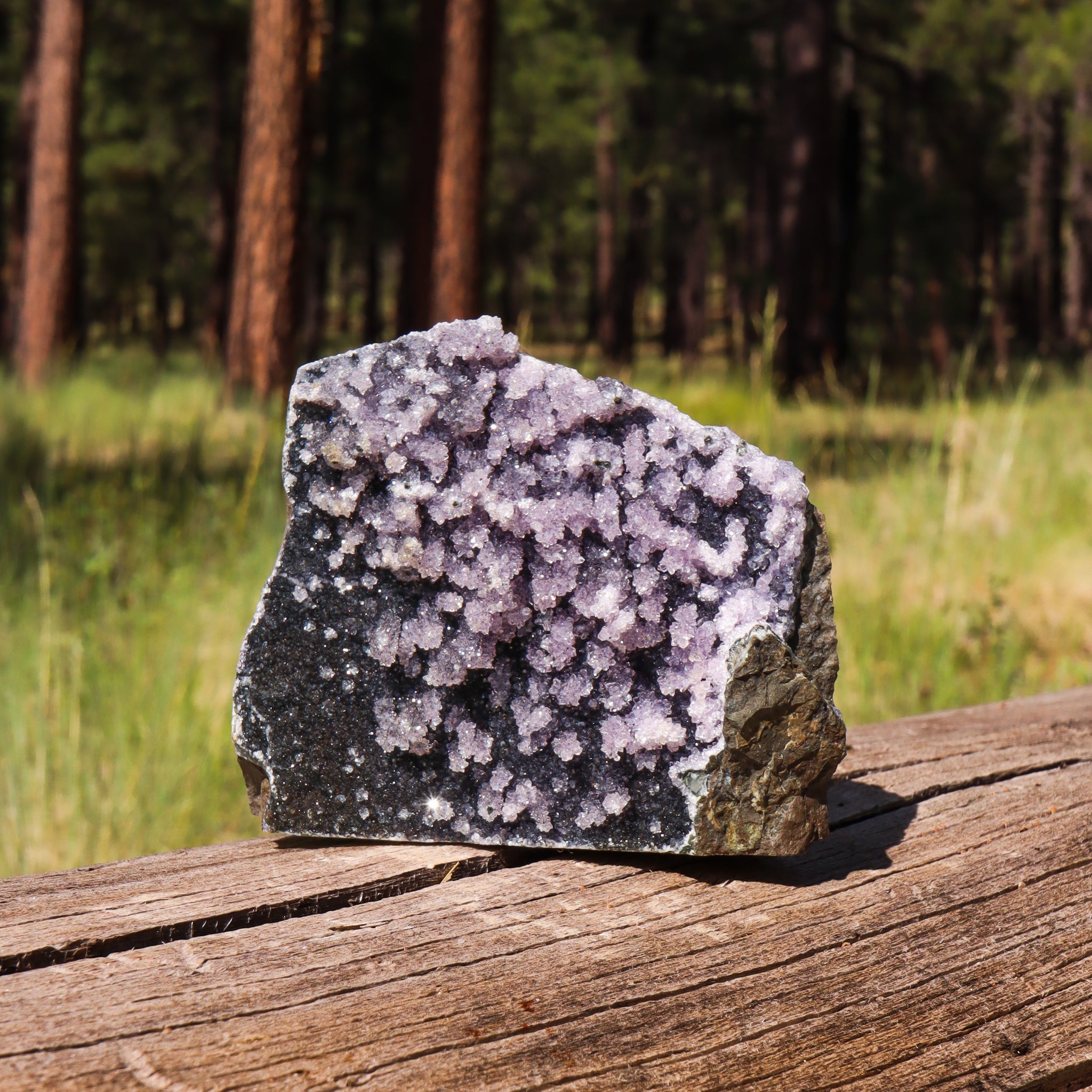 Black Amethyst Geode