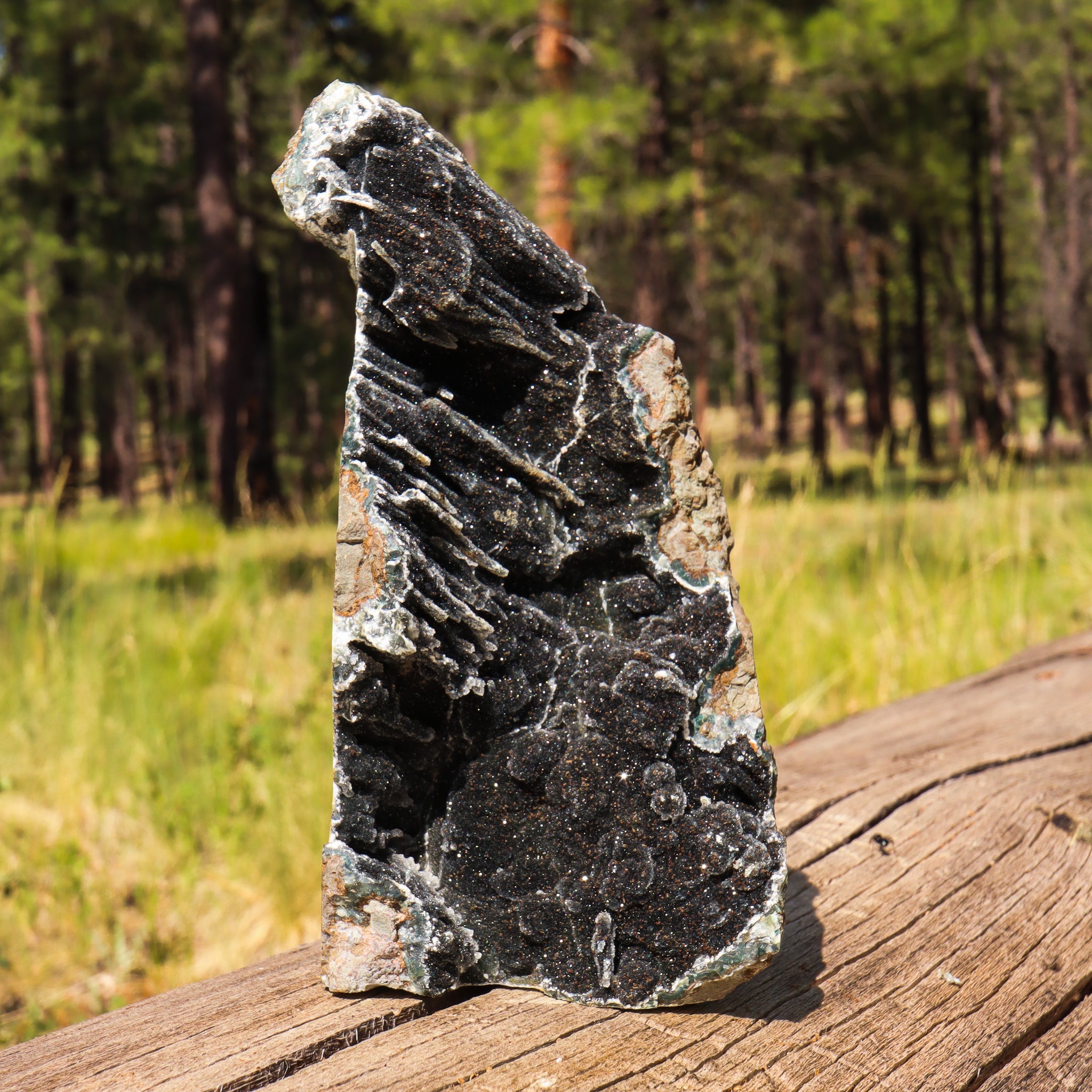 Black Amethyst Geode