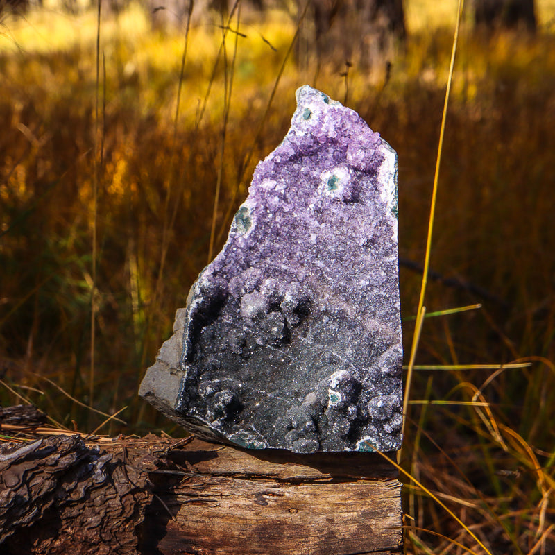 Black Amethyst Geode