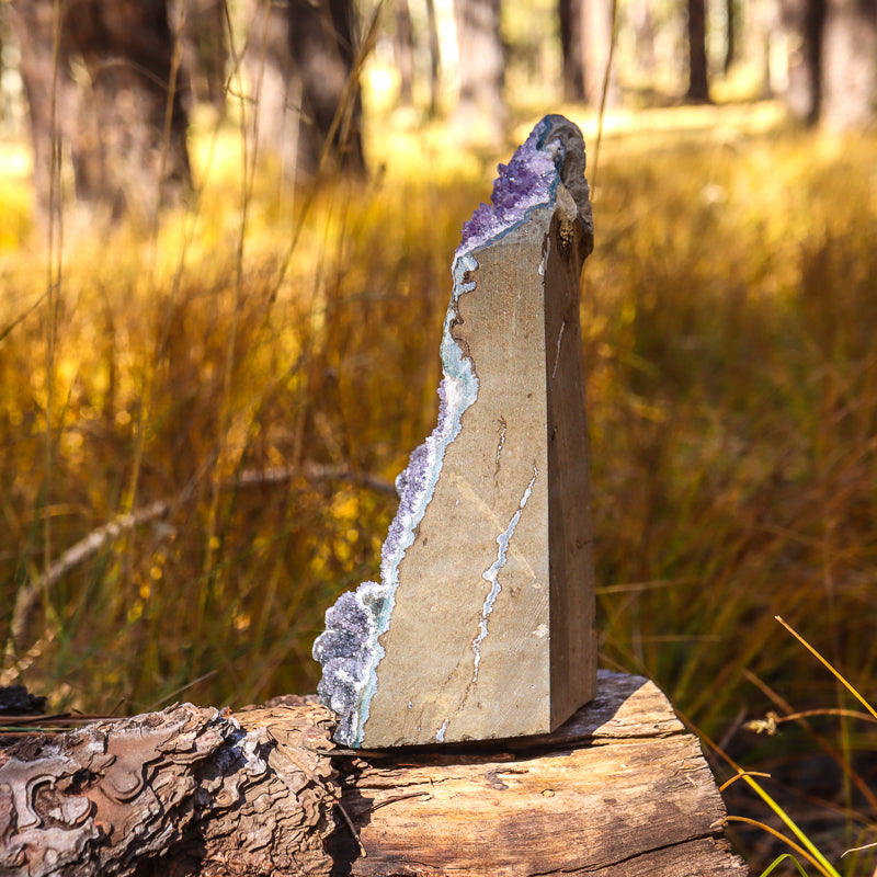 Black Amethyst Geode