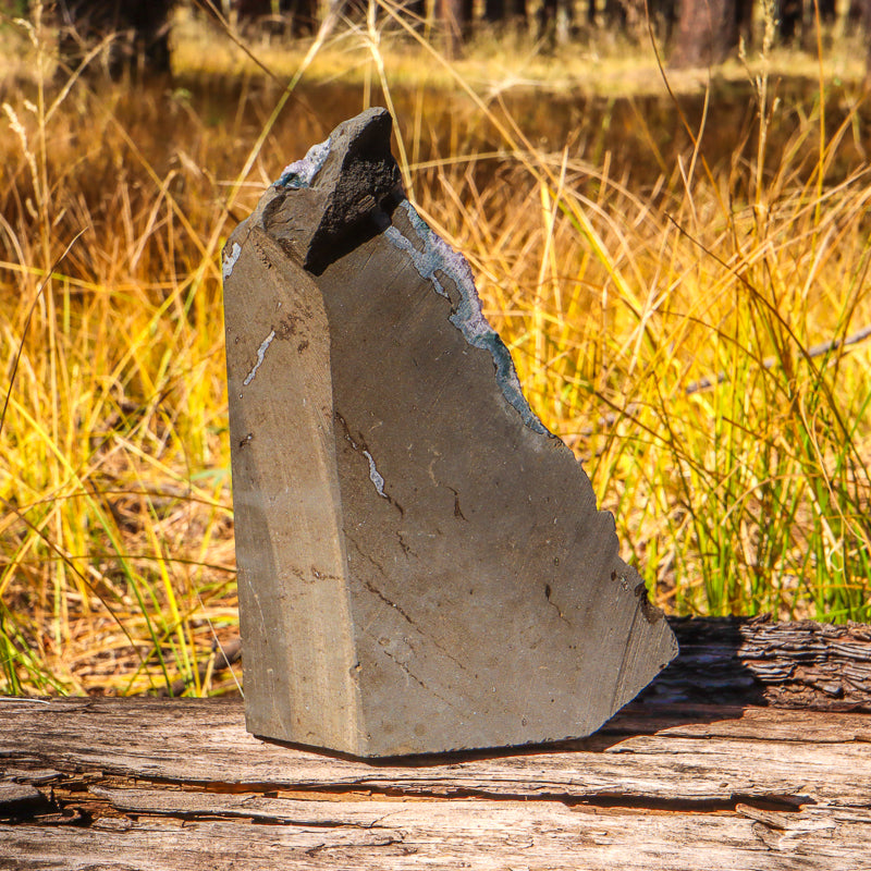 Black Amethyst Geode