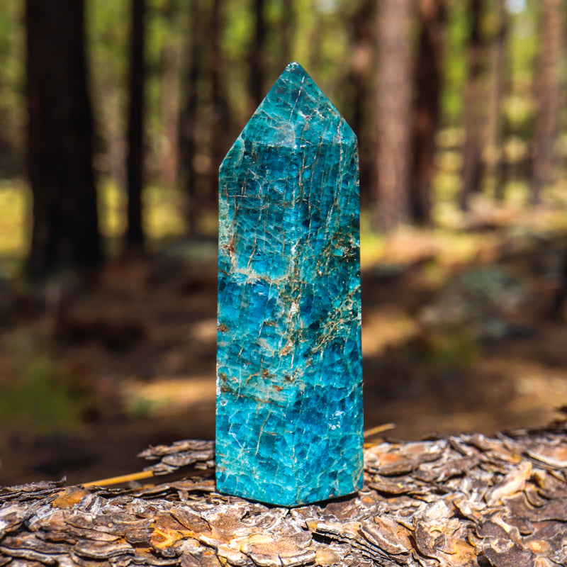Blue Apatite Point