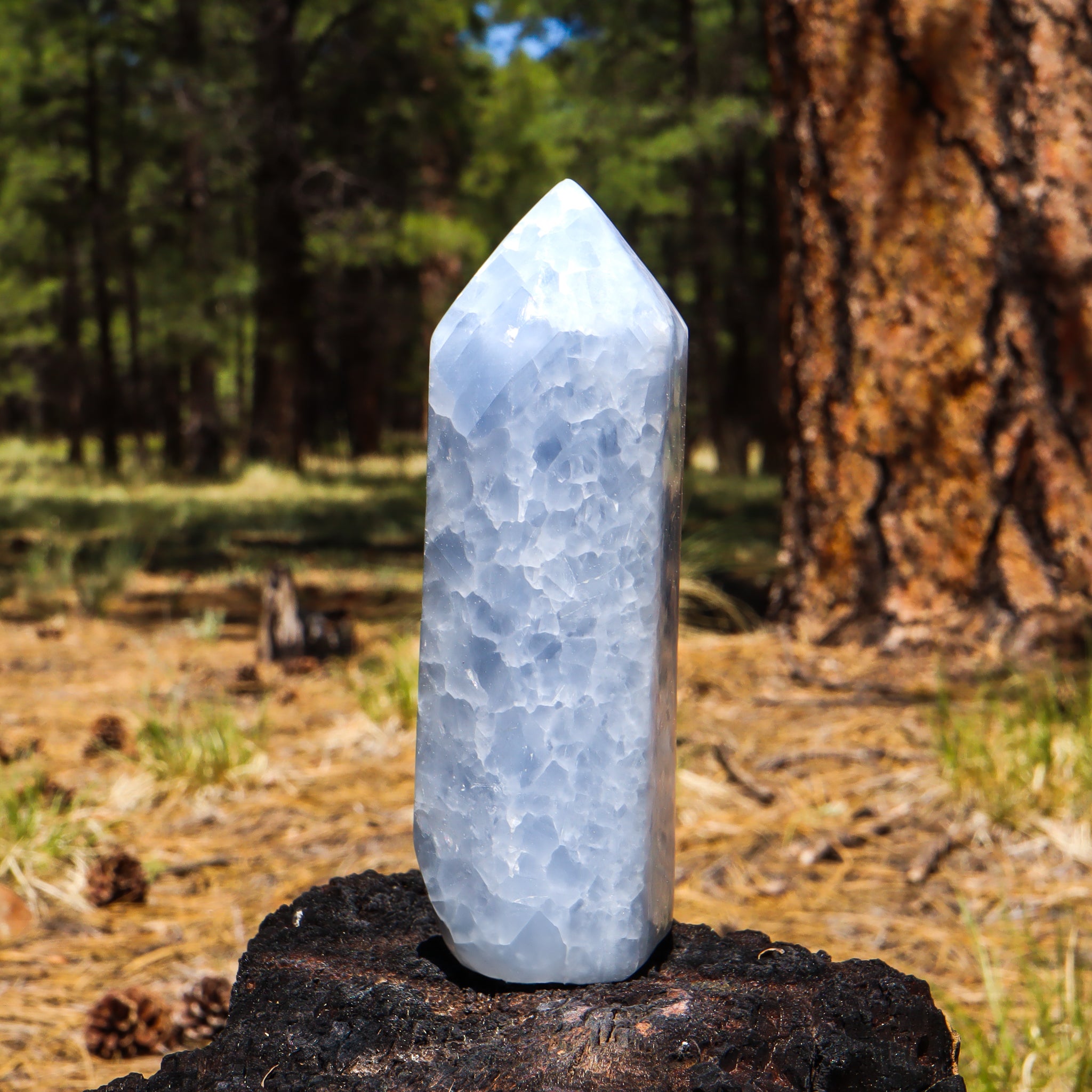 Blue Calcite Point