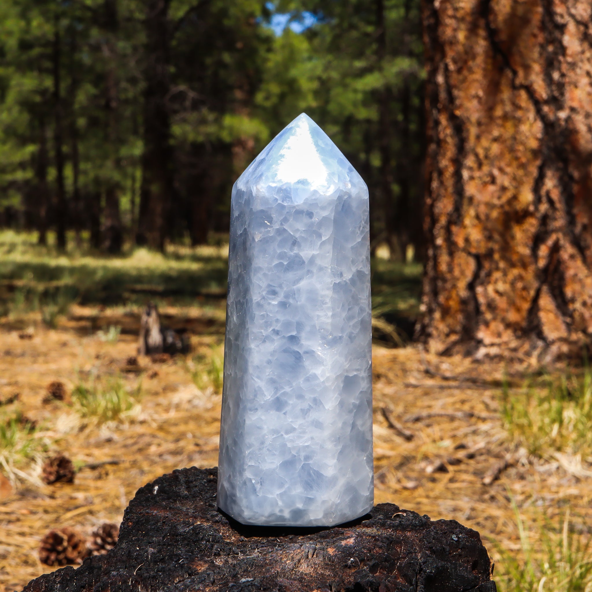 Blue Calcite Point