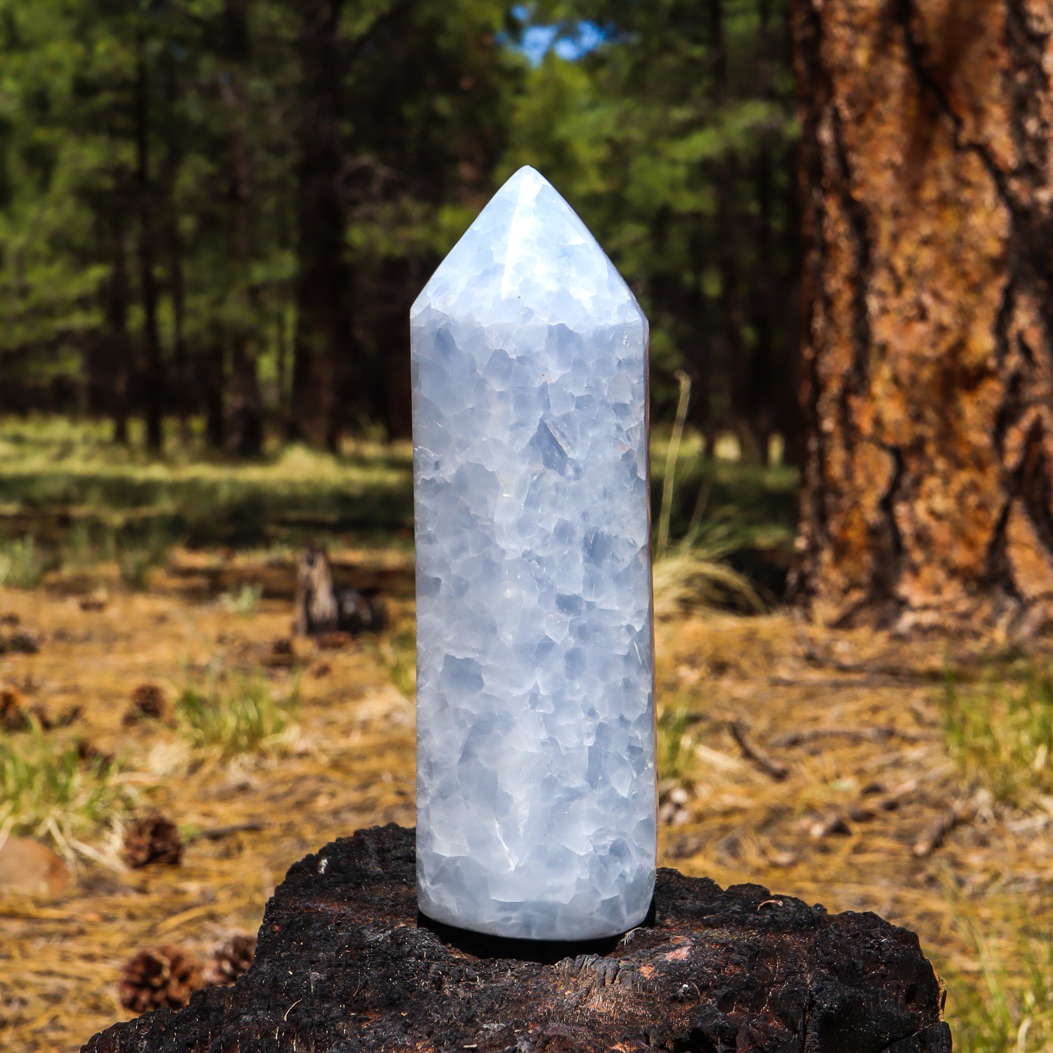 Blue Calcite Point
