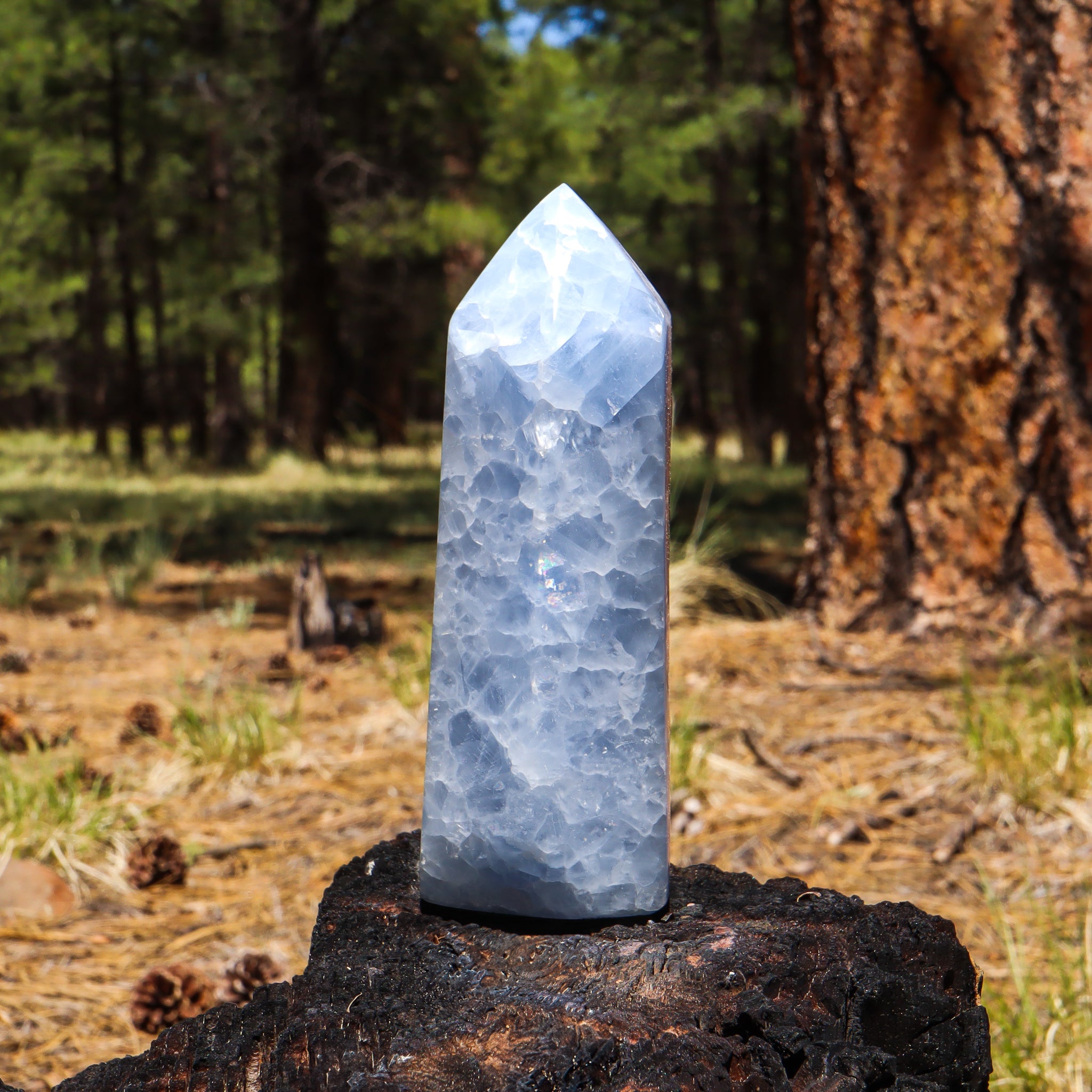 Blue Calcite Point