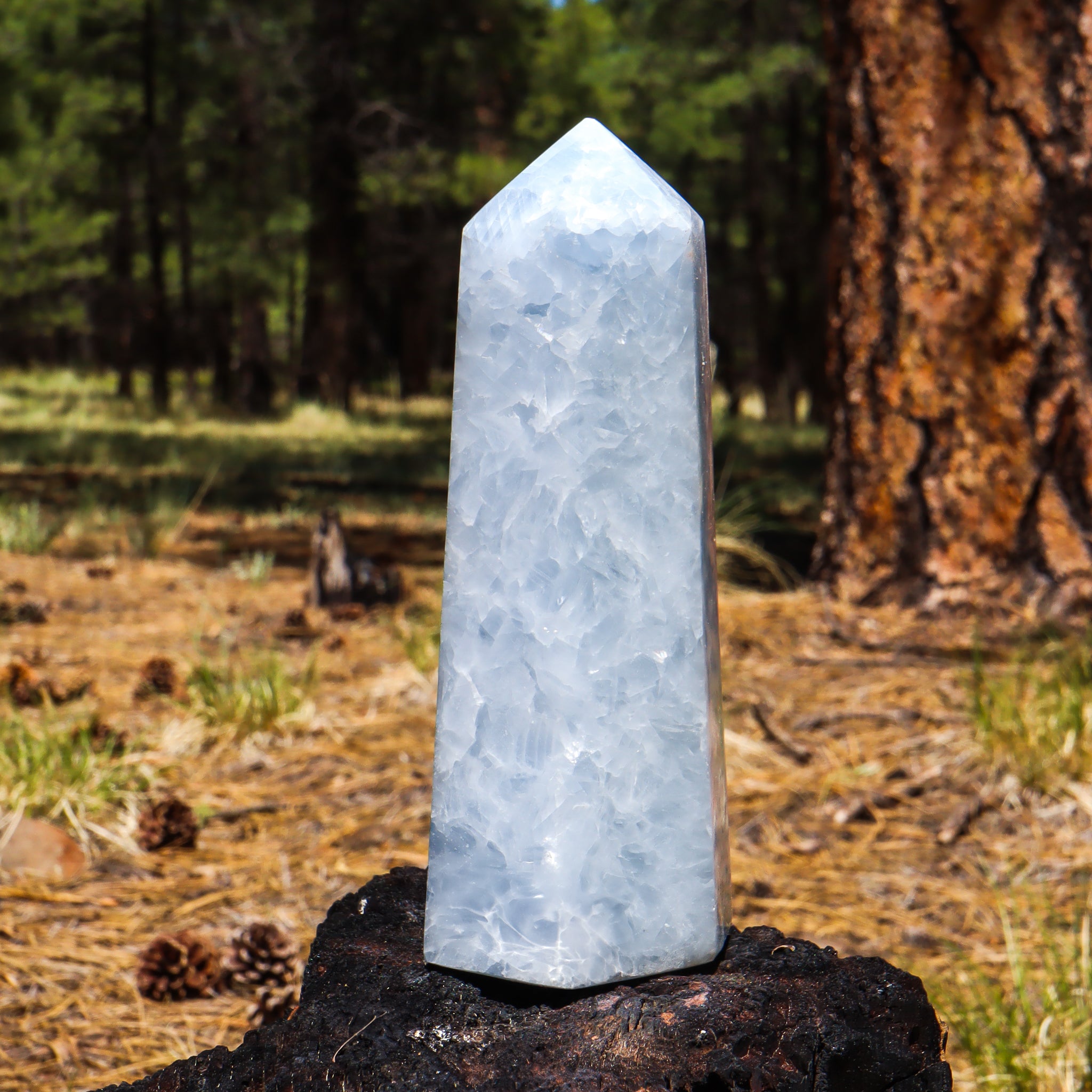 Blue Calcite Point