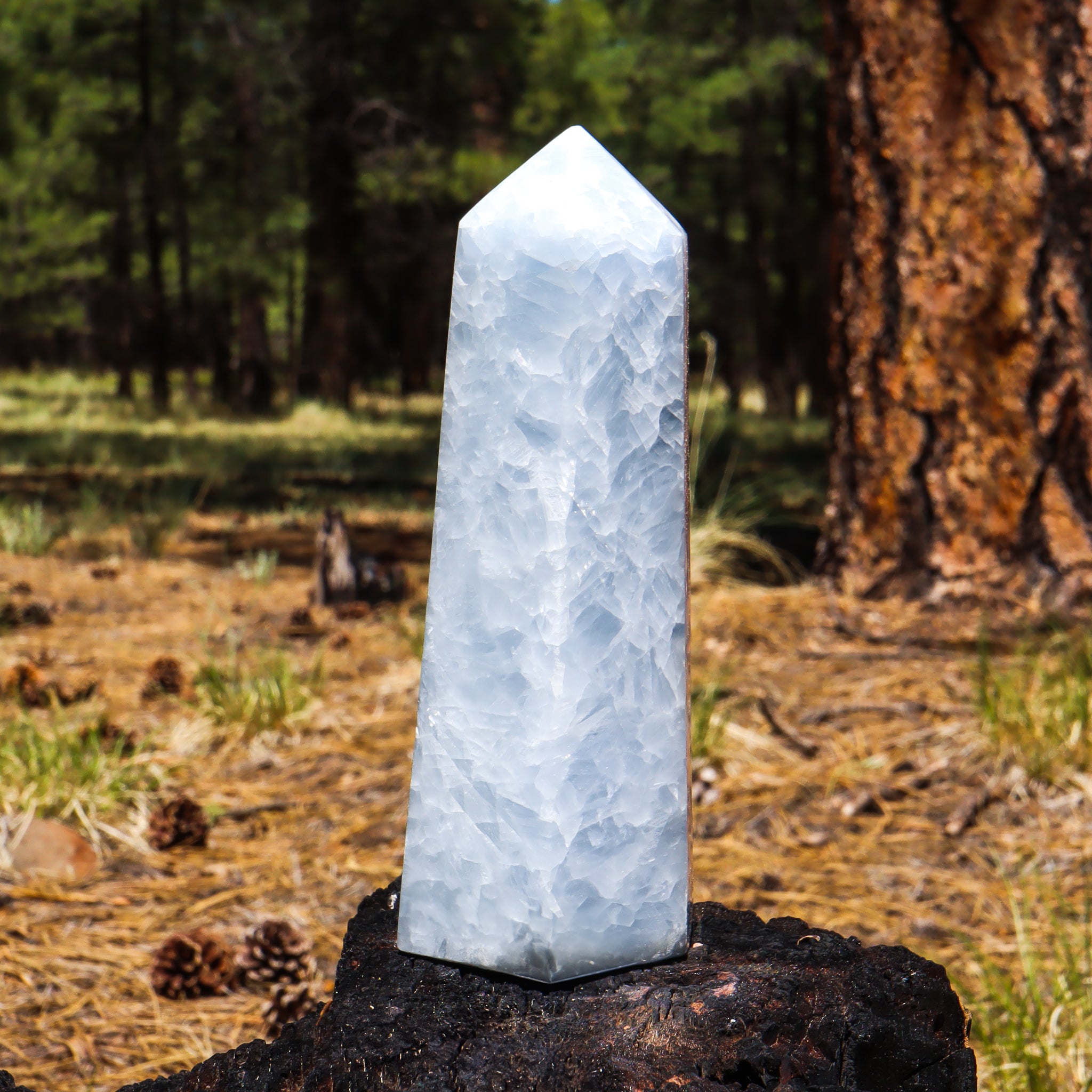Blue Calcite Point