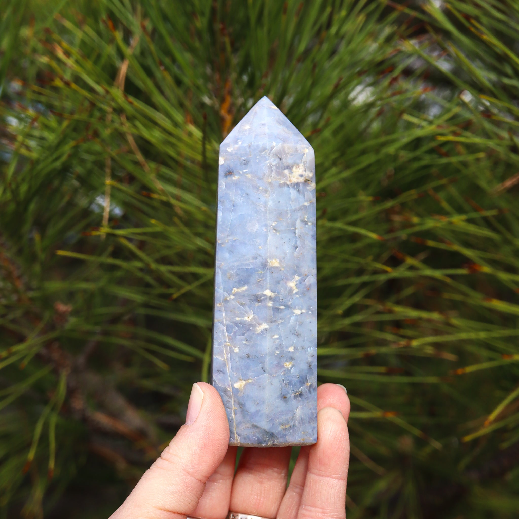 Blue Opal Point