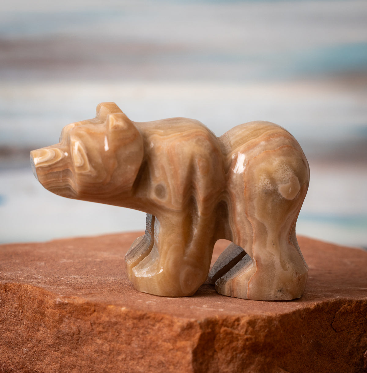 Brown Aragonite Bear