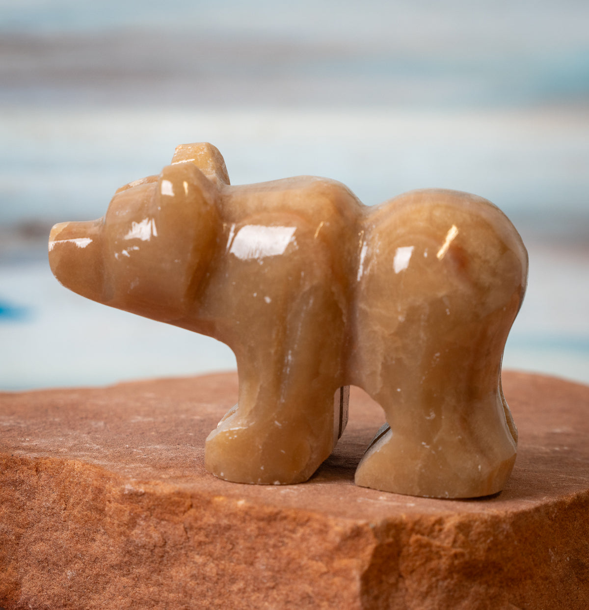 Brown Aragonite Bear