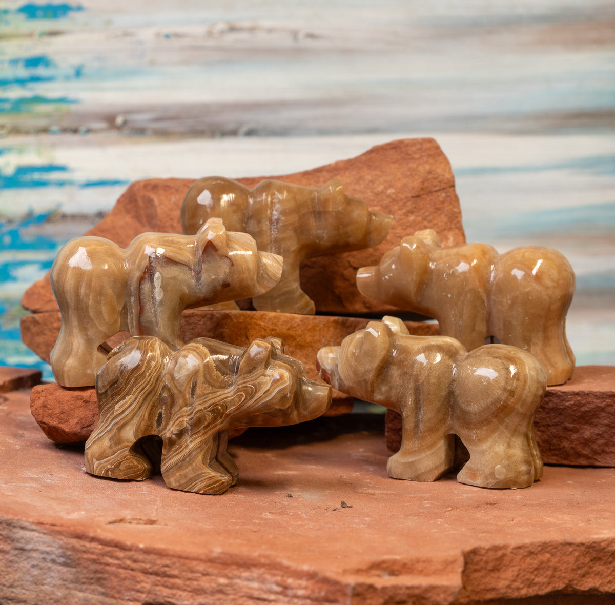 Brown Aragonite Bear