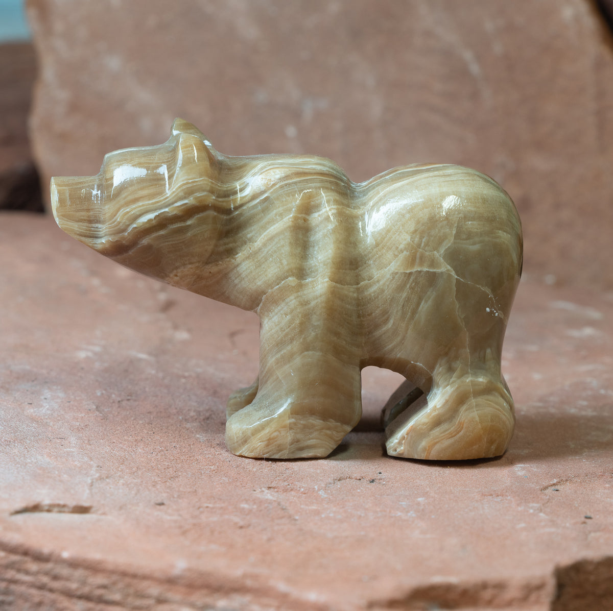 Large Brown Aragonite Bear