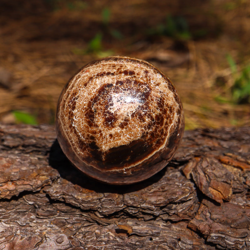 Brown Aragonite Sphere