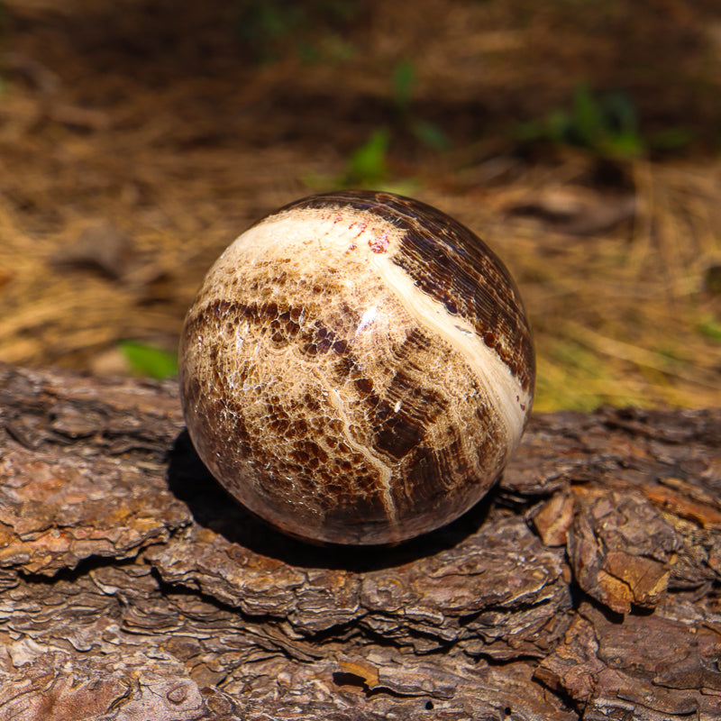 Brown Aragonite Sphere